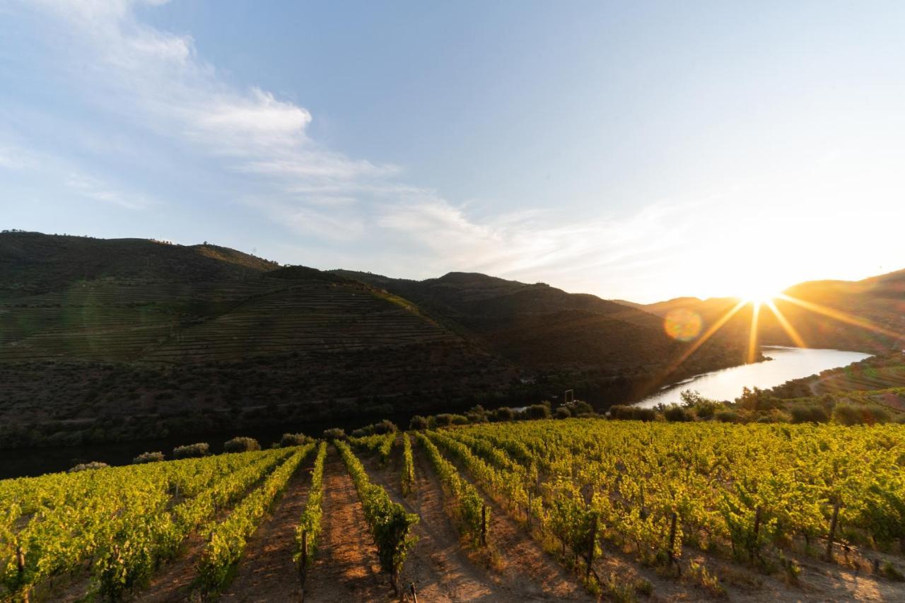 Quinta De S. Jose - Turismo Rural Ervedosa do Douro Екстериор снимка
