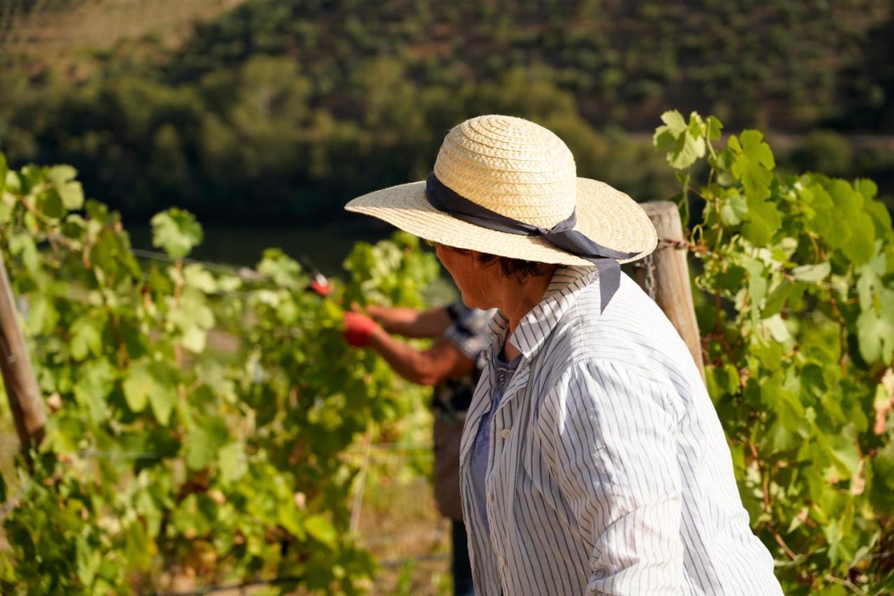 Quinta De S. Jose - Turismo Rural Ervedosa do Douro Екстериор снимка