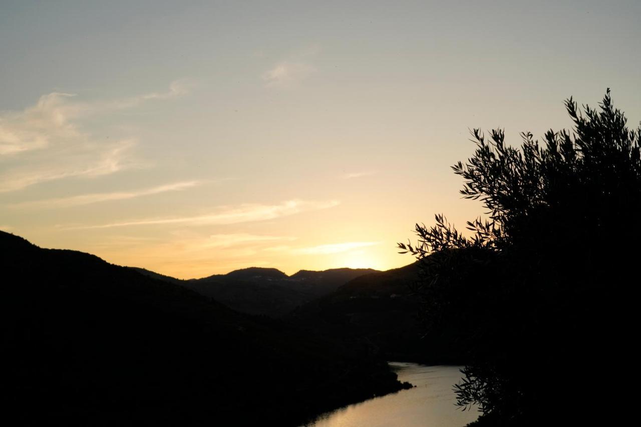 Quinta De S. Jose - Turismo Rural Ervedosa do Douro Екстериор снимка